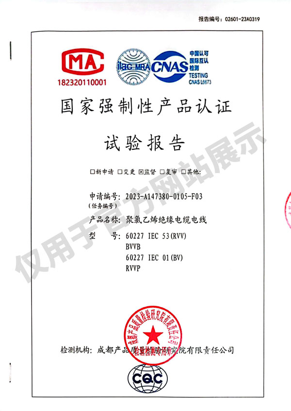 2023年12月3C年審報(bào)告